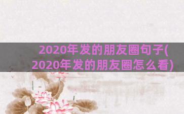 2020年发的朋友圈句子(2020年发的朋友圈怎么看)