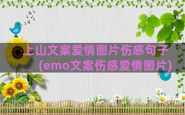 上山文案爱情图片伤感句子(emo文案伤感爱情图片)