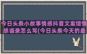 今日头条小故事情感抖音文案馆情感语录怎么写(今日头条今天的最新新闻)