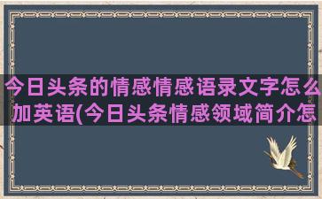 今日头条的情感情感语录文字怎么加英语(今日头条情感领域简介怎么写)