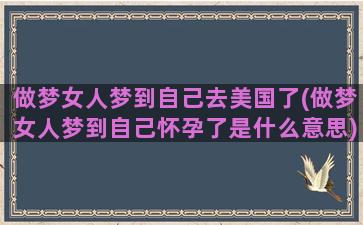 做梦女人梦到自己去美国了(做梦女人梦到自己怀孕了是什么意思)