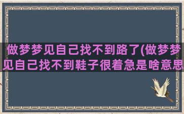 做梦梦见自己找不到路了(做梦梦见自己找不到鞋子很着急是啥意思)