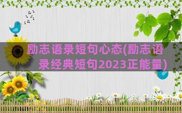 励志语录短句心态(励志语录经典短句2023正能量)