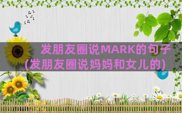 发朋友圈说MARK的句子(发朋友圈说妈妈和女儿的)