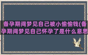 备孕期间梦见自己被小偷偷钱(备孕期间梦见自己怀孕了是什么意思)