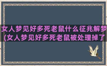 女人梦见好多死老鼠什么征兆解梦(女人梦见好多死老鼠被处理掉了)