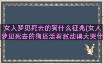 女人梦见死去的狗什么征兆(女人梦见死去的狗还活着激动得大哭什么意思)