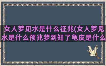 女人梦见水是什么征兆(女人梦见水是什么预兆梦到知了龟皮是什么意思)