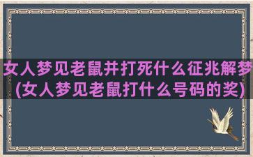 女人梦见老鼠并打死什么征兆解梦(女人梦见老鼠打什么号码的奖)