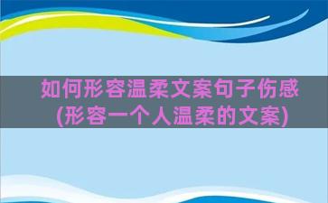 如何形容温柔文案句子伤感(形容一个人温柔的文案)