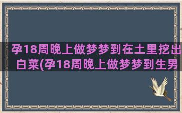 孕18周晚上做梦梦到在土里挖出白菜(孕18周晚上做梦梦到生男孩怎么回事)