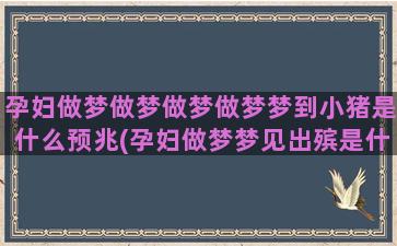 孕妇做梦做梦做梦做梦梦到小猪是什么预兆(孕妇做梦梦见出殡是什么意思)