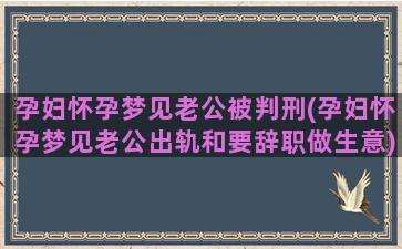 孕妇怀孕梦见老公被判刑(孕妇怀孕梦见老公出轨和要辞职做生意)