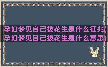 孕妇梦见自己拔花生是什么征兆(孕妇梦见自己拔花生是什么意思)