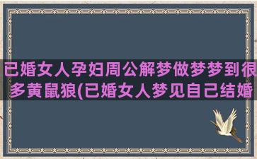 已婚女人孕妇周公解梦做梦梦到很多黄鼠狼(已婚女人梦见自己结婚周公)