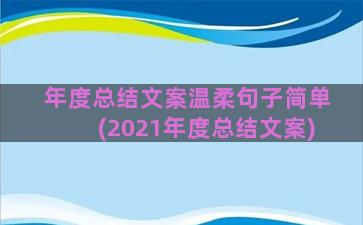 年度总结文案温柔句子简单(2021年度总结文案)