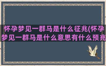 怀孕梦见一群马是什么征兆(怀孕梦见一群马是什么意思有什么预兆)