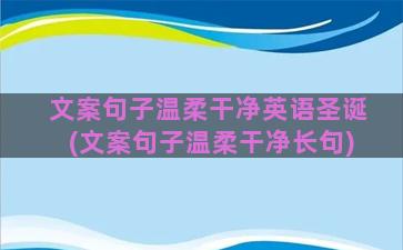 文案句子温柔干净英语圣诞(文案句子温柔干净长句)