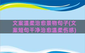 文案温柔治愈景物句子(文案短句干净治愈温柔伤感)