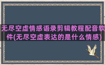 无尽空虚情感语录剪辑教程配音软件(无尽空虚表达的是什么情感)