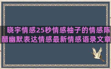 晓宇情感25秒情感柚子的情感陈醋幽默表达情感最新情感语录文章app