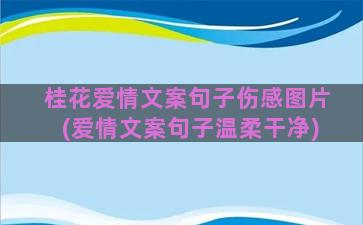 桂花爱情文案句子伤感图片(爱情文案句子温柔干净)