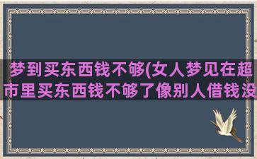 梦到买东西钱不够(女人梦见在超市里买东西钱不够了像别人借钱没借到怎么回事)