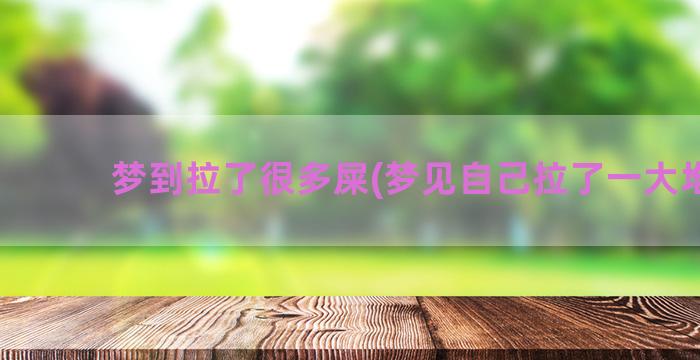 梦到拉了很多屎(梦见自己拉了一大堆屎)