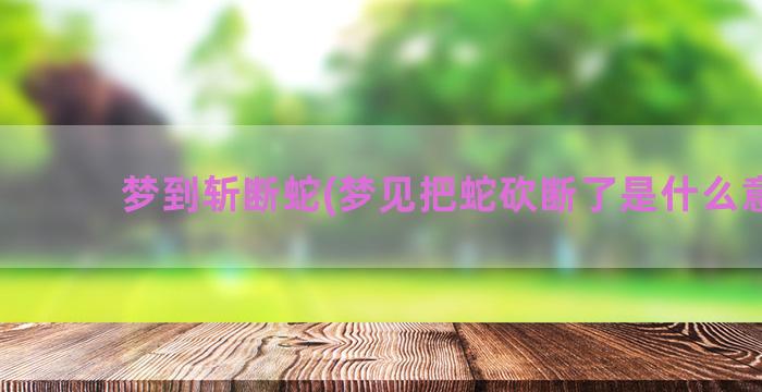 梦到斩断蛇(梦见把蛇砍断了是什么意思)