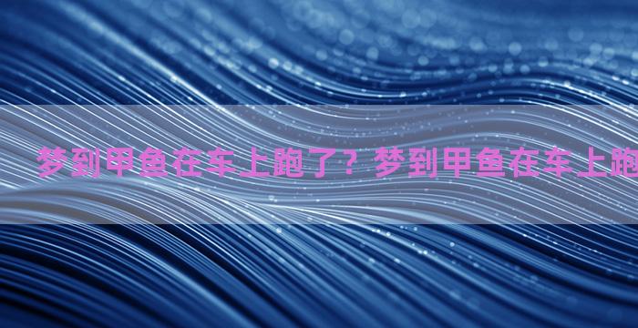 梦到甲鱼在车上跑了？梦到甲鱼在车上跑了什么意思