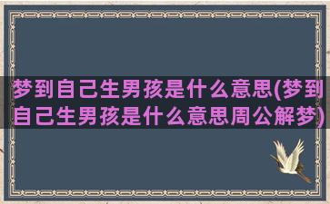 梦到自己生男孩是什么意思(梦到自己生男孩是什么意思周公解梦)