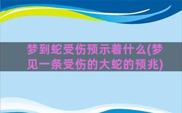 梦到蛇受伤预示着什么(梦见一条受伤的大蛇的预兆)