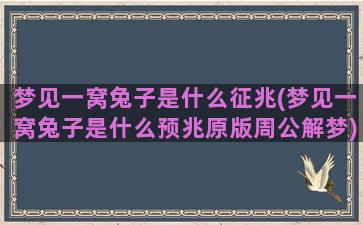 梦见一窝兔子是什么征兆(梦见一窝兔子是什么预兆原版周公解梦)