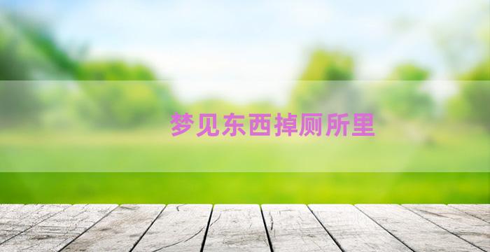 梦见东西掉厕所里