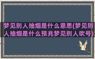 梦见别人抽烟是什么意思(梦见别人抽烟是什么预兆梦见别人吹号)