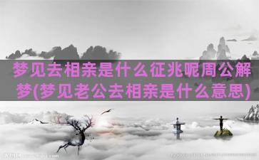 梦见去相亲是什么征兆呢周公解梦(梦见老公去相亲是什么意思)