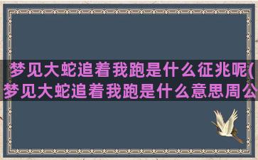 梦见大蛇追着我跑是什么征兆呢(梦见大蛇追着我跑是什么意思周公解梦)