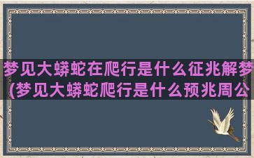 梦见大蟒蛇在爬行是什么征兆解梦(梦见大蟒蛇爬行是什么预兆周公解梦)