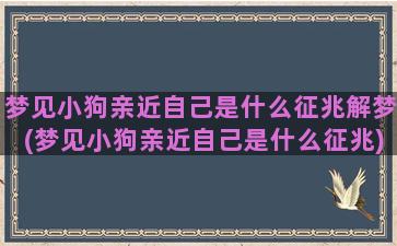 梦见小狗亲近自己是什么征兆解梦(梦见小狗亲近自己是什么征兆)