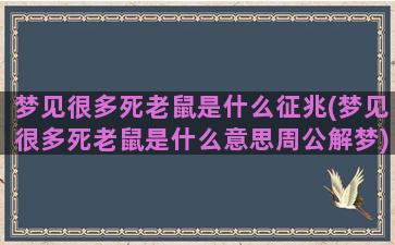 梦见很多死老鼠是什么征兆(梦见很多死老鼠是什么意思周公解梦)