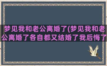 梦见我和老公离婚了(梦见我和老公离婚了各自都又结婚了我后悔了)