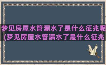 梦见房屋水管漏水了是什么征兆呢(梦见房屋水管漏水了是什么征兆)