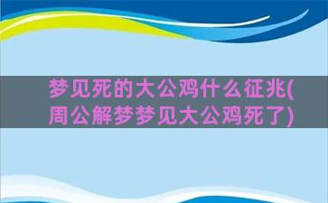 梦见死的大公鸡什么征兆(周公解梦梦见大公鸡死了)