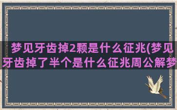 梦见牙齿掉2颗是什么征兆(梦见牙齿掉了半个是什么征兆周公解梦)