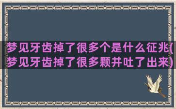 梦见牙齿掉了很多个是什么征兆(梦见牙齿掉了很多颗并吐了出来)