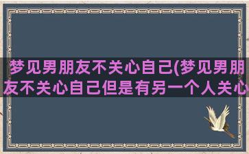 梦见男朋友不关心自己(梦见男朋友不关心自己但是有另一个人关心我)