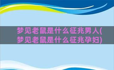 梦见老鼠是什么征兆男人(梦见老鼠是什么征兆孕妇)