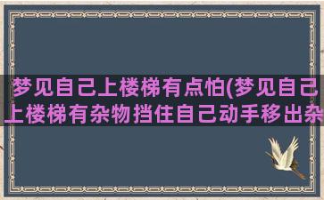 梦见自己上楼梯有点怕(梦见自己上楼梯有杂物挡住自己动手移出杂物什么意思)