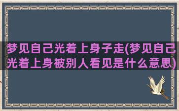 梦见自己光着上身子走(梦见自己光着上身被别人看见是什么意思)