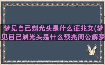 梦见自己剃光头是什么征兆女(梦见自己剃光头是什么预兆周公解梦)